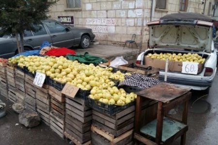 Hacıbala Abutalıbovun hansı qohumu “qanunsuz bazar”dan xərac toplayır? – İDDİA - Rəsulzadə qəsəbəsindəki “qaçqınlar bazarı”ndan reportaj - FOTOFAKT