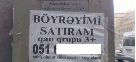 “Unibank”a 3 min borcum var idi; evdə yeməyə heç nə yox idi; kirayə pulunu verə bilmədim...” –Böyrəyini satan şəxslərin ÜRƏKDAĞLAYAN ETİRAFLARI