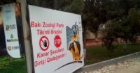 BAKI ZOOPARKINDA "DÖVLƏT SİRRİ": TƏMİR HAQQINDA MƏLUMATLAR NİYƏ GİZLƏDİLİR?- FOTOLAR