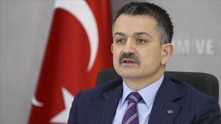 "Dedilər ki, biz bura oturmağa yox, yardım etməyə gəldik" 