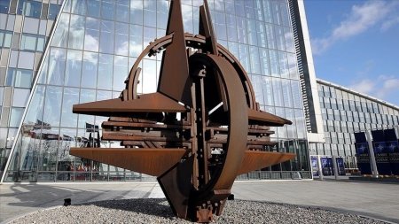 "NATO-da ciddi islahatlara ehtiyac var" "NATO-da ciddi islahatlara ehtiyac var"