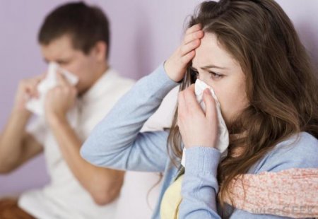 Karantinin yumşaldılması qrip epidemiyalarının təsirini artırıb Karantinin yumşaldılması qrip epidemiyalarının təsirini artırıb