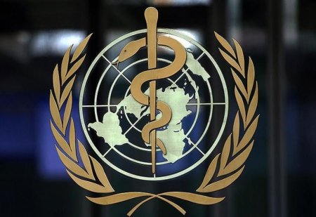 "Qrip kimi COVID-19 ilə yaşamağı öyrənməliyik" "Qrip kimi COVID-19 ilə yaşamağı öyrənməliyik"