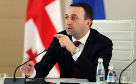 "Son iki onillikdə Gürcüstanın itkilərinin sürəti 20-ci əsrin sonunda edilən təxminləri üstələyib” "Son iki onillikdə Gürcüstanın itkilərinin sürəti 20-ci əsrin sonunda edilən təxminləri üstələyib”