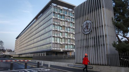 "Bu, “omikron”la deyil, ümumi yoluxanların sayının artması ilə əlaqəli ola bilər” 