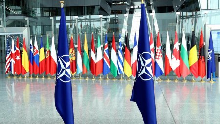 "NATO dünyanın təhlükəsizlik çətiri hesab olunur" "NATO dünyanın təhlükəsizlik çətiri hesab olunur"