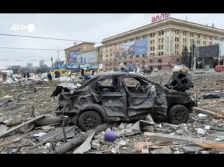 “Sülhə gəlincə, bizim hamımız onu istəyirik" 