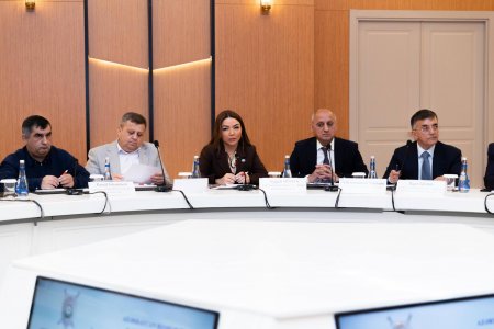 DİN yanında İctimai Şuranın təşəbbüsü ilə “Təhlükəsizlik və şəhərsalmanın müasir çağırışları” mövzusunda ictimai müzakirə keçirildi